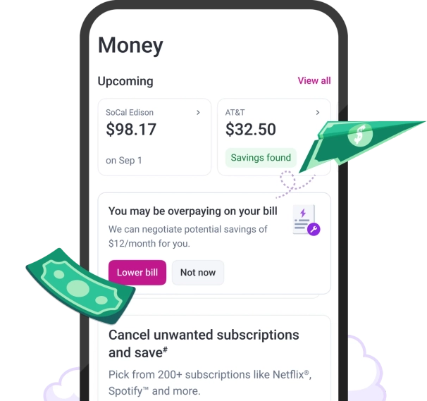 Graphic of money with SubX cancellation screen.