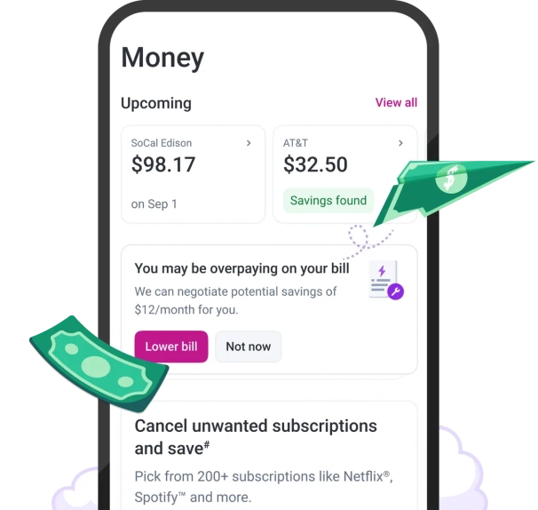 Graphic of money with SubX cancellation screen.