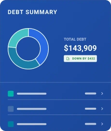 Graphic debt summary feature.