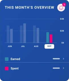 Graphic cash flow feature.